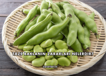 Taze Baklanın Zararları Nelerdir?