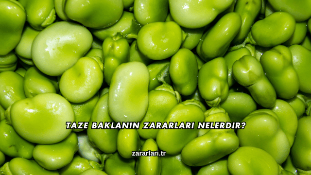 Taze Baklanın Zararları Nelerdir?