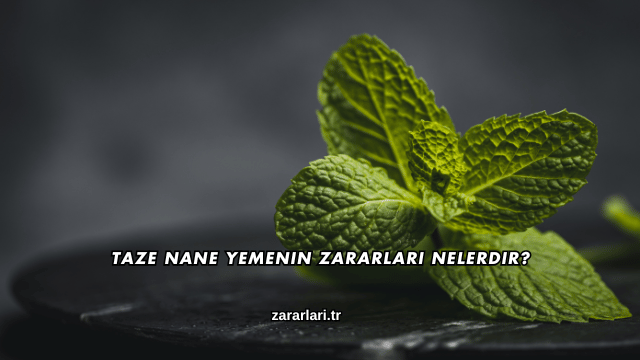 Taze Nane Yemenin Zararları Nelerdir?