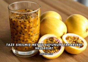 Taze Sıkılmış Meyve Suyunun Zararları Nelerdir?