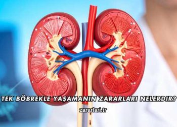 Tek Böbrekle Yaşamanın Zararları Nelerdir?