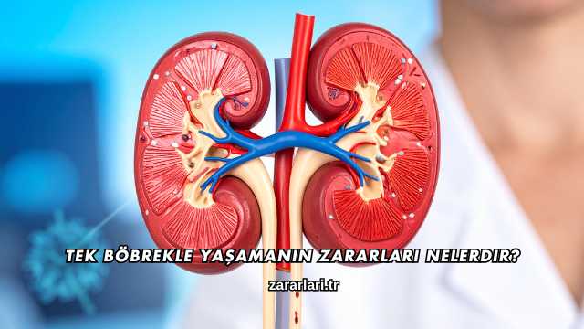 Tek Böbrekle Yaşamanın Zararları Nelerdir?