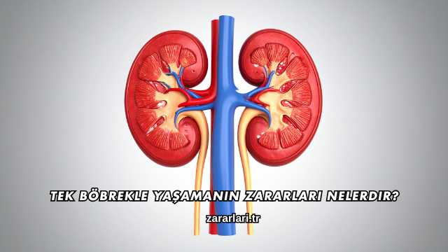 Tek Böbrekle Yaşamanın Zararları Nelerdir?