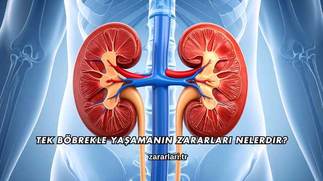 Tek Böbrekle Yaşamanın Zararları Nelerdir?