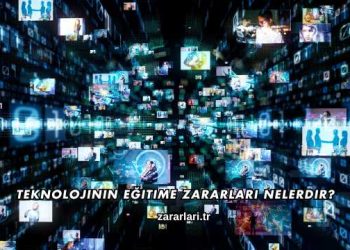 Teknolojinin Eğitime Zararları Nelerdir?