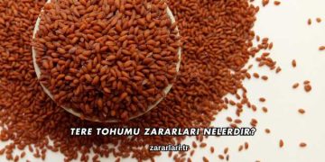 Tere Tohumu Zararları Nelerdir?