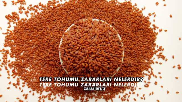 Tere Tohumu Zararları Nelerdir?