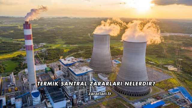 Termik Santral Zararları Nelerdir?