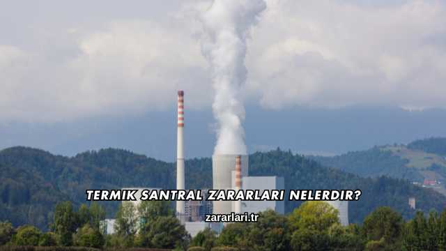 Termik Santral Zararları Nelerdir?