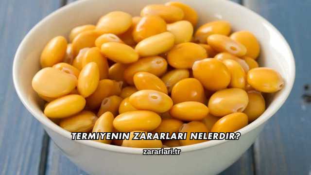 Termiyenin Zararları Nelerdir?