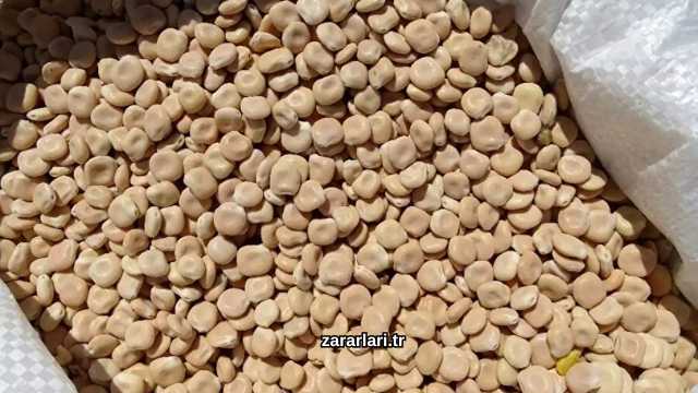 Termiyenin Zararları Nelerdir?