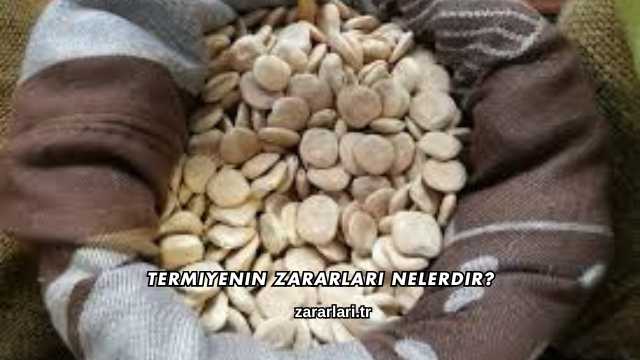 Termiyenin Zararları Nelerdir?