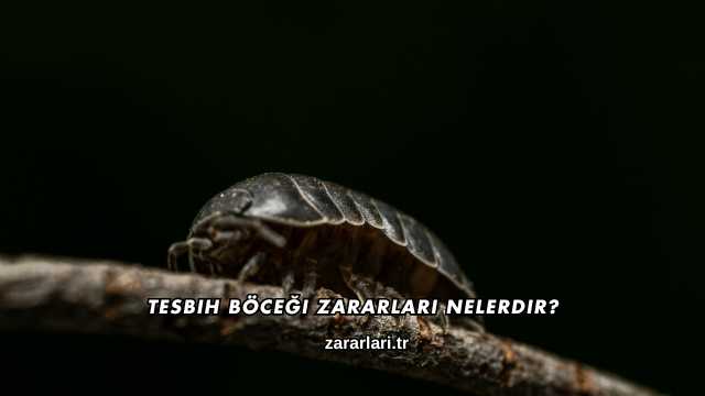 Tesbih Böceği Zararları Nelerdir?