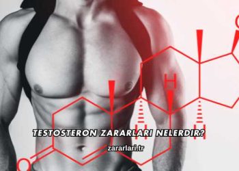Testosteron Zararları Nelerdir?