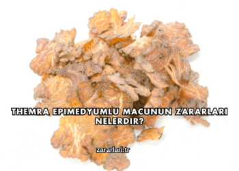 Themra Epimedyumlu Macunun Zararları Nelerdir?