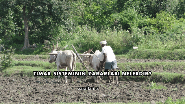 Tımar Sisteminin Zararları Nelerdir?