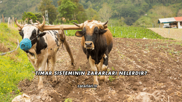 Tımar Sisteminin Zararları Nelerdir?