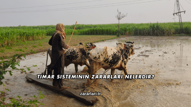 Tımar Sisteminin Zararları Nelerdir?