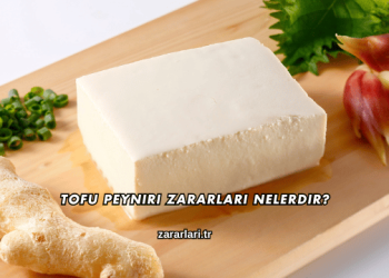 Tofu Peyniri Zararları Nelerdir?