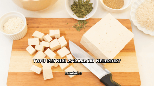 Tofu Peyniri Zararları Nelerdir?