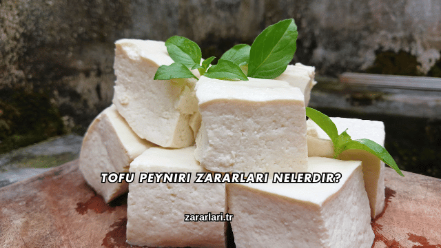 Tofu Peyniri Zararları Nelerdir?