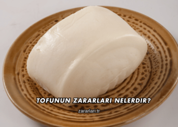 Tofunun Zararları Nelerdir?