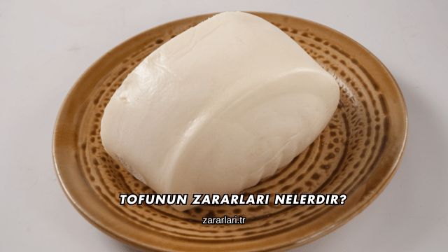 Tofunun Zararları Nelerdir?