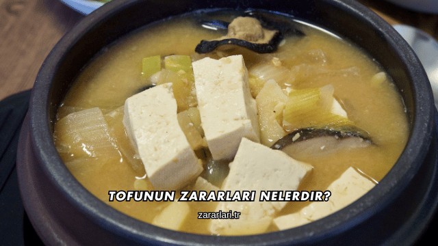 Tofunun Zararları Nelerdir?