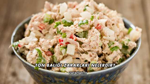 Ton Balığı Zararları Nelerdir?