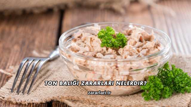 Ton Balığı Zararları Nelerdir?