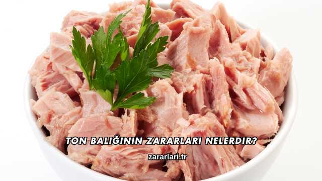 Ton Balığının Zararları Nelerdir?