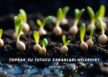 Toprak Su Tutucu Zararları Nelerdir?