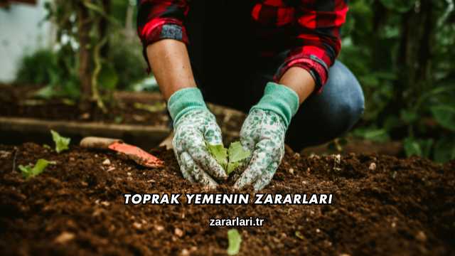 Toprak Yemenin Zararları