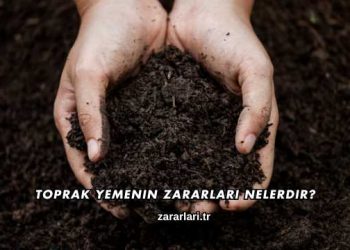 Toprak Yemenin Zararları Nelerdir?