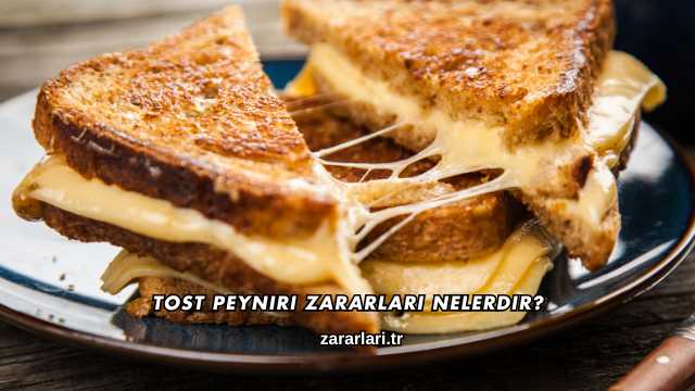 Tost Peyniri Zararları Nelerdir?