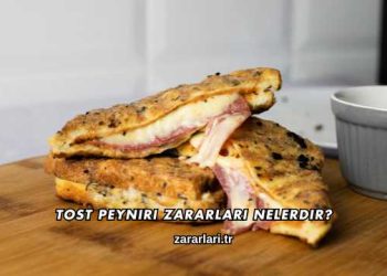 Tost Peyniri Zararları Nelerdir?