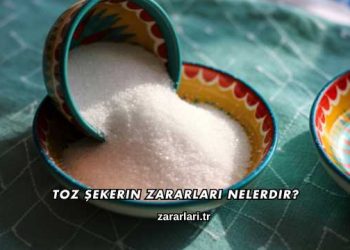 Toz Şekerin Zararları Nelerdir?