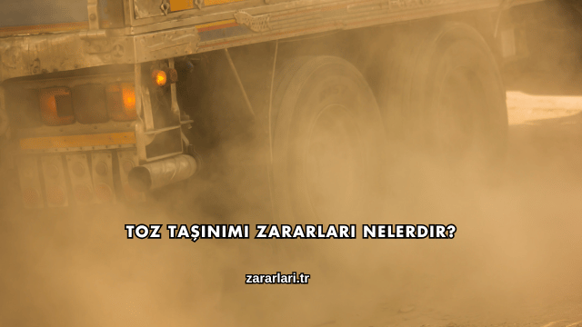 Toz Taşınımı Zararları Nelerdir?