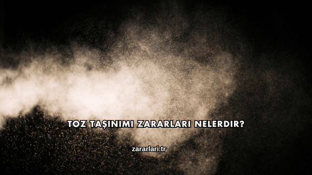 Toz Taşınımı Zararları Nelerdir?