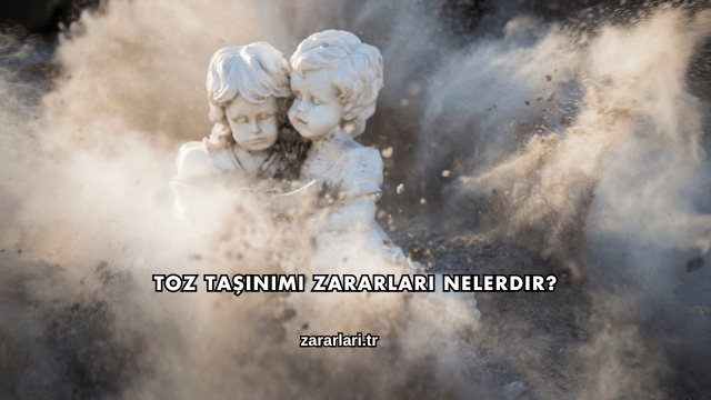 Toz Taşınımı Zararları Nelerdir?