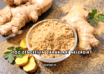 Toz Zencefilin Zararları Nelerdir?
