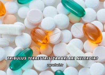 Tribulus Terrestris Zararları Nelerdir?