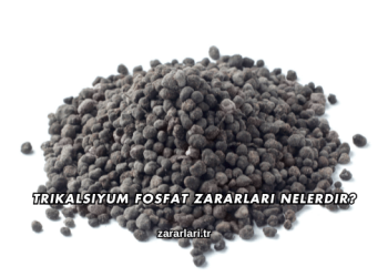 Trikalsiyum Fosfat Zararları Nelerdir?