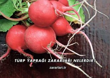 Turp Yaprağı Zararları Nelerdir?