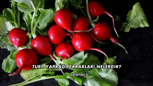 Turp Yaprağı Zararları Nelerdir?