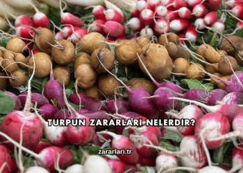 Turpun Zararları Nelerdir?