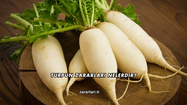 Turpun Zararları Nelerdir?