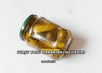 Turşu Tozu Zararları Nelerdir?