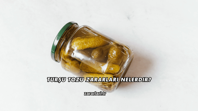 Turşu Tozu Zararları Nelerdir?