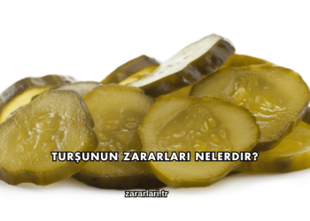 Turşunun Zararları Nelerdir?
